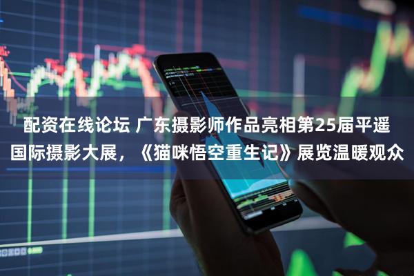 配资在线论坛 广东摄影师作品亮相第25届平遥国际摄影大展，《猫咪悟空重生记》展览温暖观众